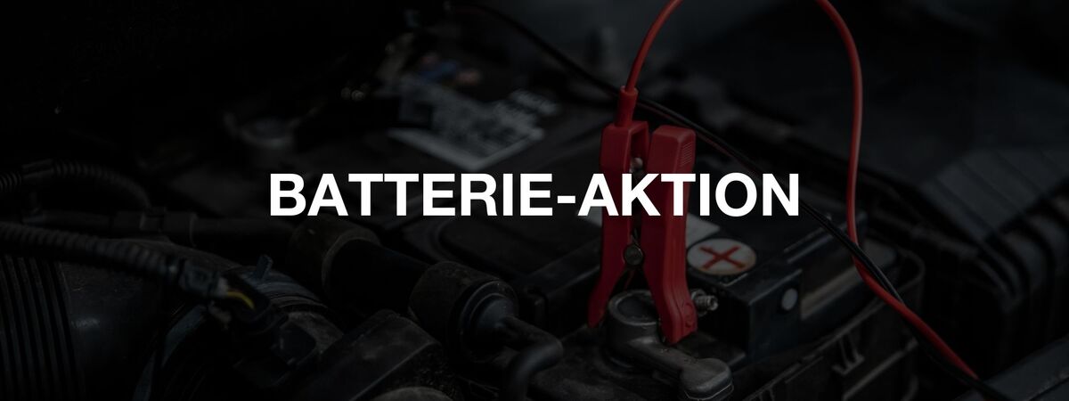 Banner mit der Aufschrift "Batterie-Aktion"